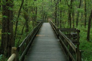 boardwalk-in-radnor-lake-state-park-tennessee-tn399