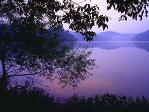 dawn_over_radnor_lake